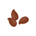 Seed
